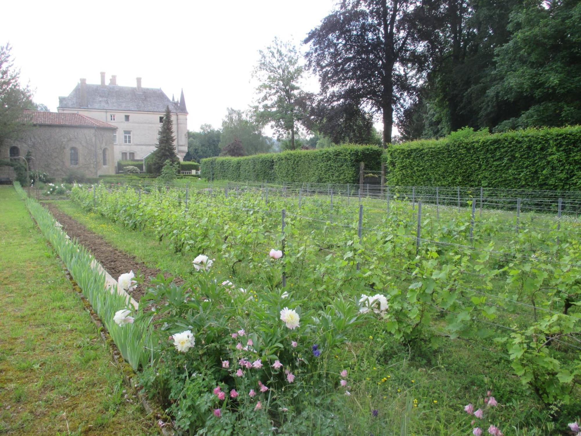 Chateau Des Monthairons Hotel Restaurant Gastromaison Spa Privatif Les Monthairons Bagian luar foto